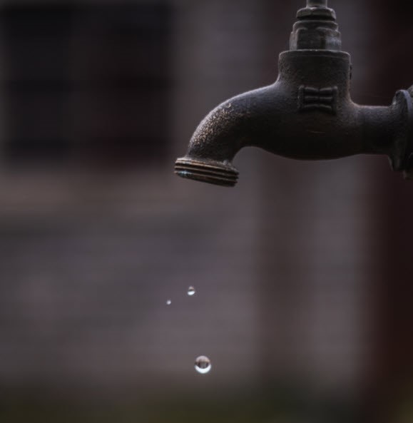 spigot